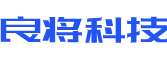 洮南市软件开发公司